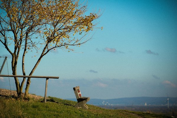 Techniques Incontournables pour Optimiser la Gestion de l'Arthrite Rhumatoïde chez les Personnes Âgées